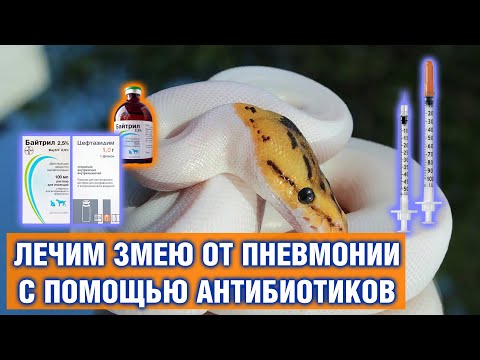 Videó: Vitaminok 2 éves Gyermekek Számára