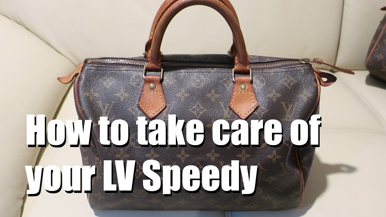 Cleaning Louis Vuitton Speedy B With Apple Care