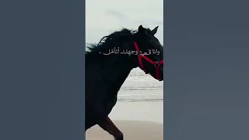 تمشينا والارض غيوم أصالة تصميم أصالة 2022 