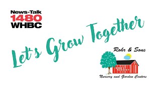 Let's Grow Together