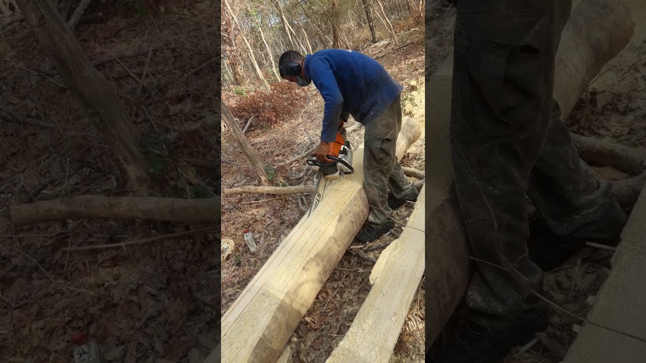 motosserra Magnum 660