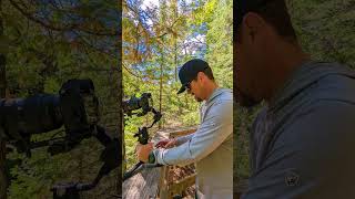 How To Turn National Forests Into Your Playground #shorts