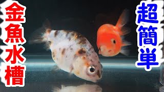 金魚飼育は難しくない！水槽用品の合計金額は？ ○○円！【江戸錦水槽、1年経過】