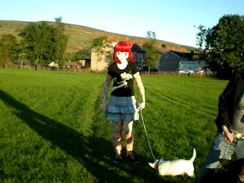 Sue Chan taking dog for walkies