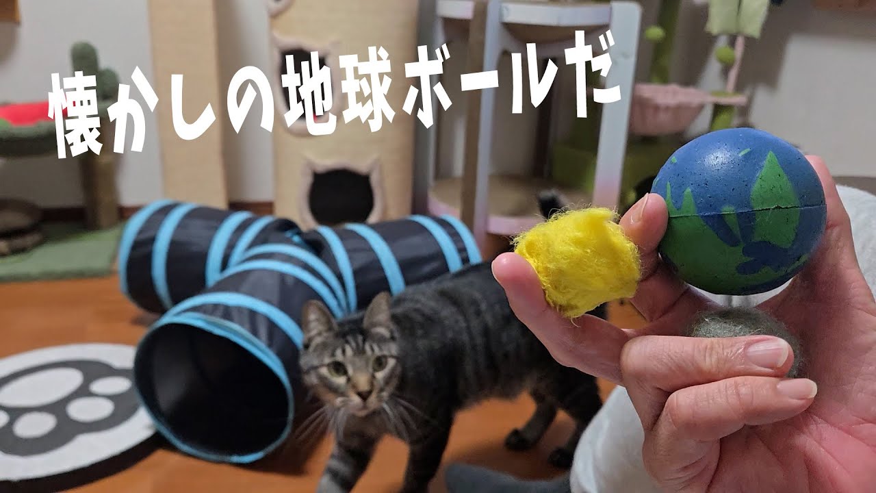 ごろ猫 4 Cats Living 1385f] A nostalgic ball for Jiro - YouTube