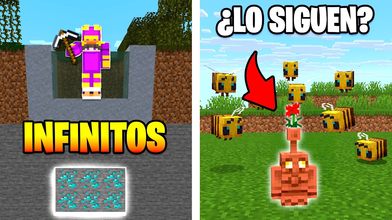 Los Secretos Ocultos de Minecraft......