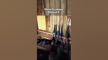 Thumbnail of Blackops 6 Human shield 🤯😳