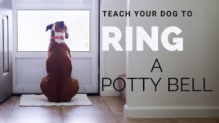 Teach Your Dog to Ring a Potty Bell by Peach on a Leash Dog Training & Behavior Services 7,488 views 2 years ago 2 minutes, 8 seconds