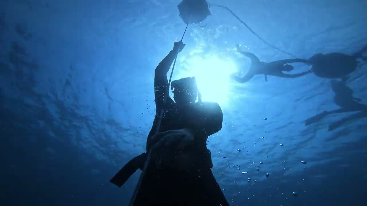 How Freediving Helped My Tinnitus | @theogalama's SeaSpace Experience 🌊🤿