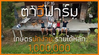 EP.16 ตาวีฟาร์มเกษตรมักง่ายรายได้หลักล้าน!