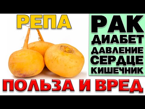 РЕПА - ПОЛЬЗА И ВРЕД  (ЗАБЫТЫЙ КОРНЕПЛОД)