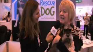 Crufts 2009 - Miniature Schnauzer Rescue