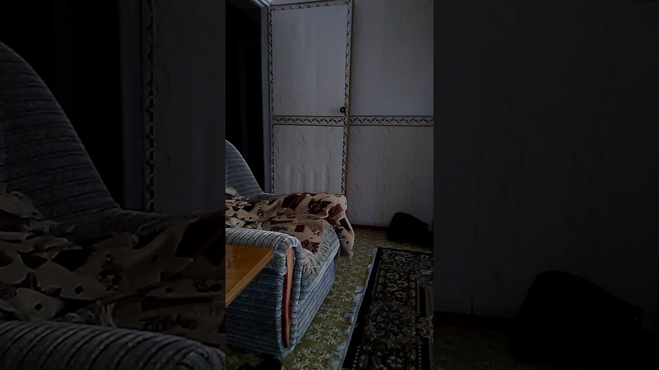 Как выглядит бабайка в реальной жизни настоящие картинки фото и видео