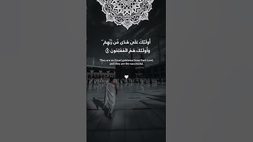 تلاوة تأخذك لعالم آخر✨😇 استمع الآن! #إقرأ_يا_مسلم