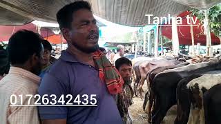 পালনের জন্য উপযুক্ত গরুর হাট