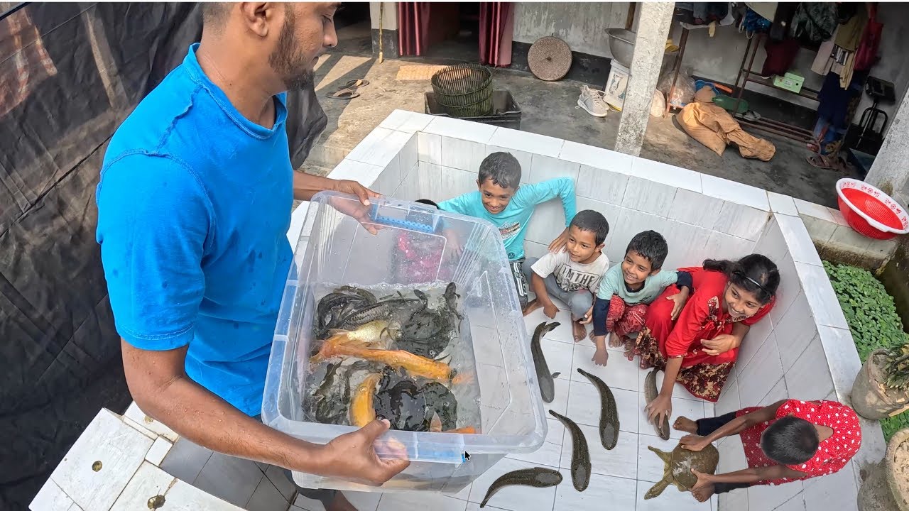 Super Brave Kids Cleaning Aquarium Like a Pro (Fish Tank Washing Process) 