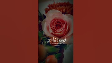 سورة الاخلاص #viral #اكسبلور#shorth#ترند #art #video#تيك_توك #دويتو#fyp#funny#لايك#gaming #freefire