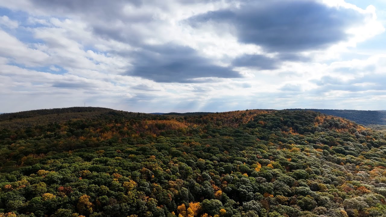 Trees, Foliage, Mountains, Lake - Breakneck Ridge, New York | Stock Footage [4K]