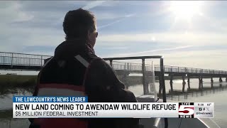 VIDEO: Major land expansion coming to Cape Romain National Wildlife Refuge in Awendaw
