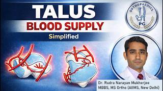 Blood supply of Talus