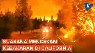 Kobaran Api Melalap Hutan di California