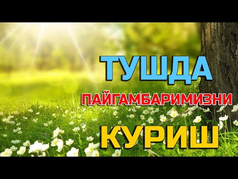 Video: Исмене кайсы архетипти эң жакшы көрсөтөт?