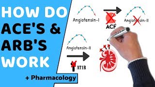 How do ACE & ARB's Work? (+ Pharmacology)