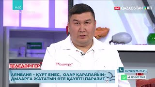 «ТЕЛЕДӘРІГЕР». Ағзадағы паразиттер қауіпті ме?