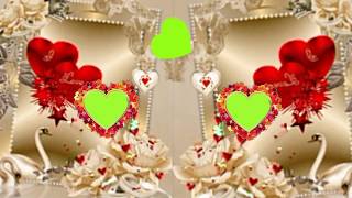 Green screen background flower animation effects wedding video (1)