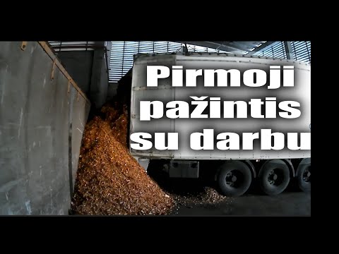 Video: Kas Pirmasis Užkariavo Everestą