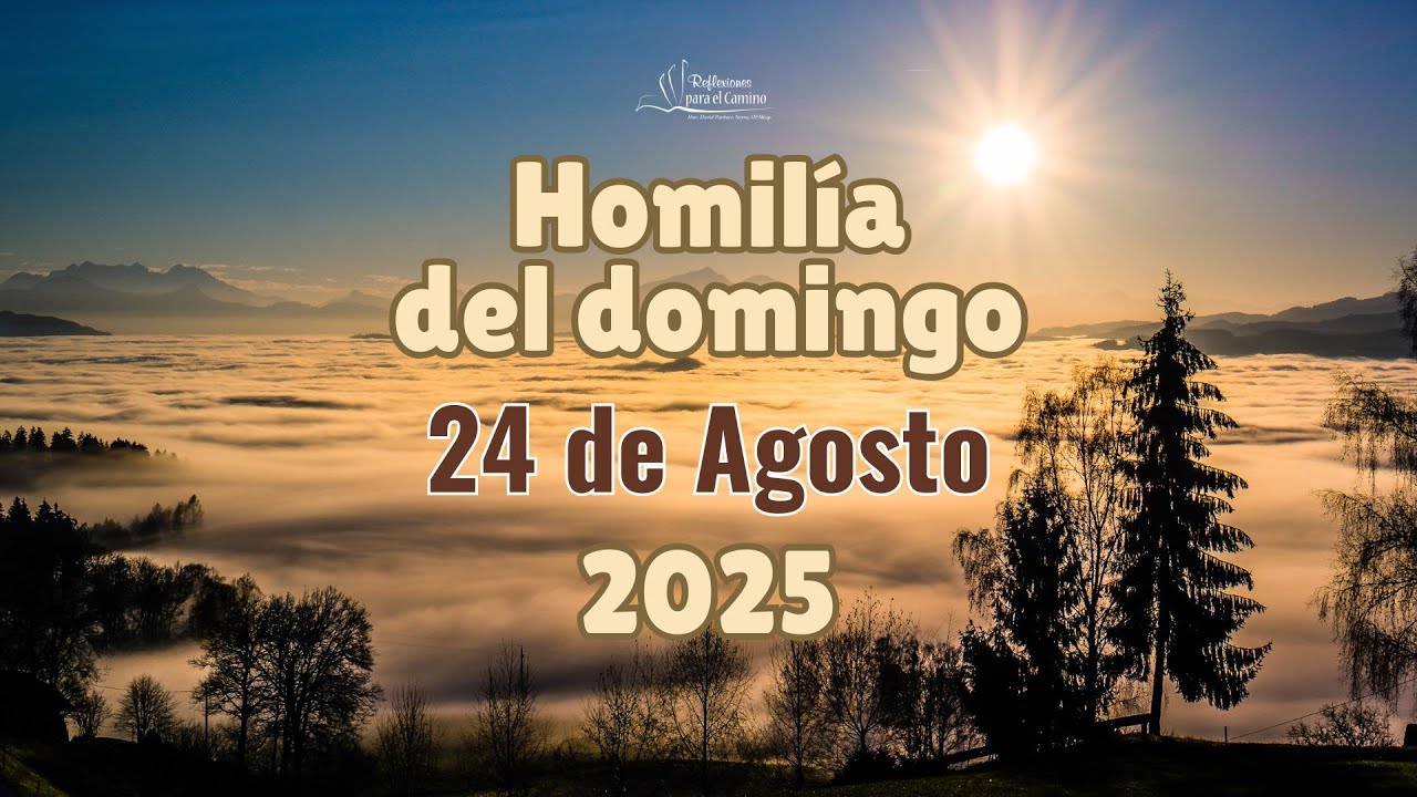 Homilía Papa León XIV, domingo 24 de agosto de 2025. XXI SEMANA DEL ...