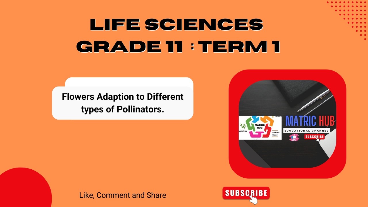 Life Sciences Grade 11 Term 1:  Adaption of Flowers  to Pollination through different Pollinators.