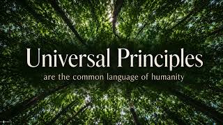 Universal Principles | A TNF Soft Grooves Rap screenshot 1