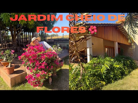RENEWED GARDEN! PROPER PRUNING FOR A GARDEN FULL OF FLOWERS 🌺🌼🌸