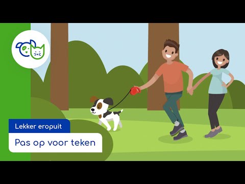 Video: Hoe U Uw Hond Tekenvrij Houdt?