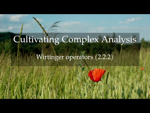 13. Wirtinger operators