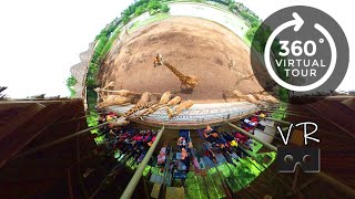 إطعام الزرافات | سفاري وورلد Safari World | الواقع الافتراضي | 360 درجة | بانكوك | تايلاند screenshot 5
