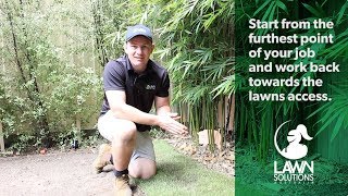 How to install a new lawn