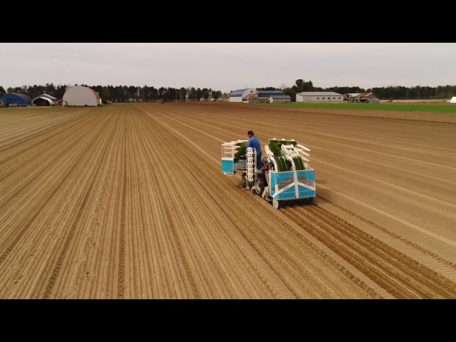 ヰセキ 玉葱移植機 PVT4Z 新型 新開発 - YouTube