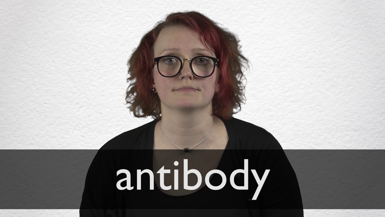 How to pronounce ANTIBODY in British English YouTube