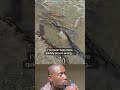Scared the carp outta me carp carpfishing nope funnyfishing fishalysha.shoooot