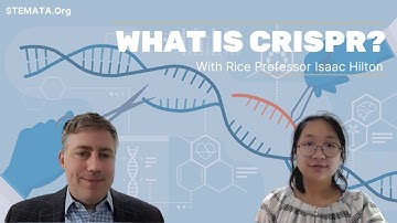 CRISPR Interview with Rice Professor Isaac Hilton - STEMATA