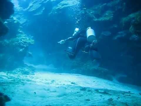 Video: I migliori centri di immersione e resort per immersioni delle Isole Cayman