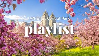   Ah I Miss Cherry Blossoms Feelgood Pop  Upbeat Spring Acoustic Pop