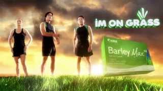 Sante Barley Max Tvc 45S