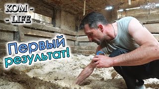 ЭКСПЕРИМЕНТ ПО ЗАПУСКУ БАКТЕРИЙ...