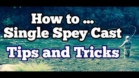 How to Single Spey Cast Tips and Tricks