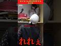 めいちゃんの場所特定する化け物が天才すぎる😯✨️ #コムドット切り抜き #コムドット #くれまぐ #shorts