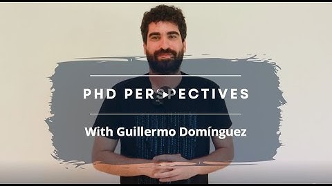 PhD Perspectives - Completing a doctorate at IMDEA Materials Institute with Guillermo Domínguez