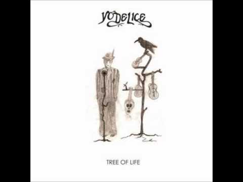 Putar Noise - Yodelice